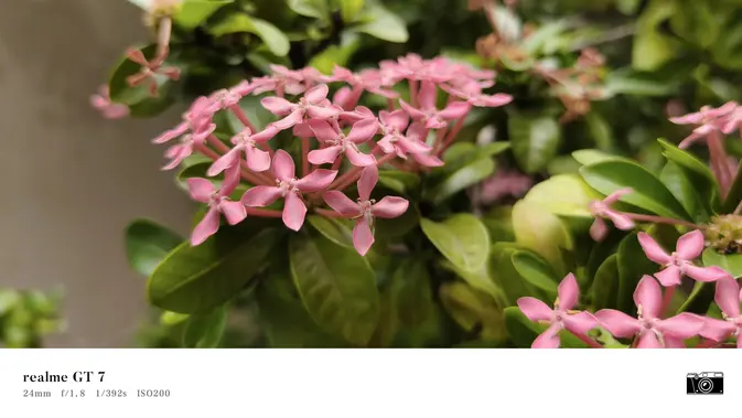 <p>Hasil foto kamera belakang Realme GT 7. (Liputan6.com/Agustinus M. Damar) </p>