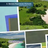 5 Padang Savana Paling Indah di Indonesia.