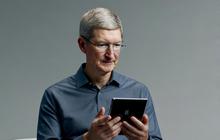 Tim Cook Tepok Jidat, Sia-sia Taruh Duit Gede di Apple Vision Pro