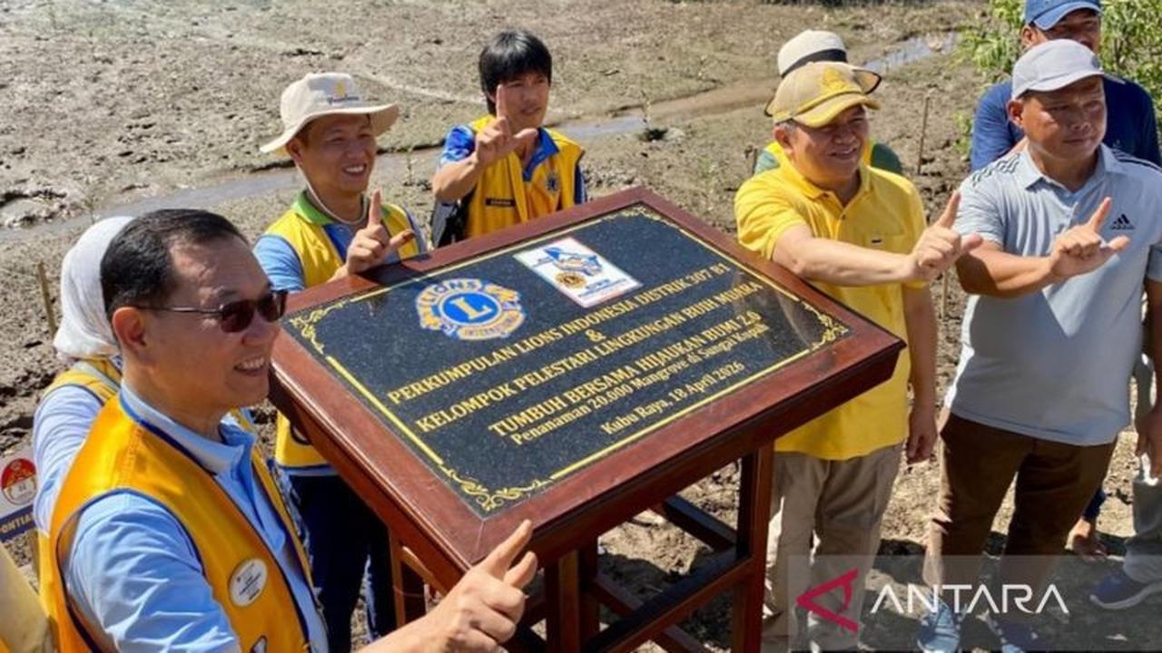 Perkumpulan Lions Indonesia Gelar Penanaman Mangrove Kubu Raya, Jaga Pesisir dari Abrasi
