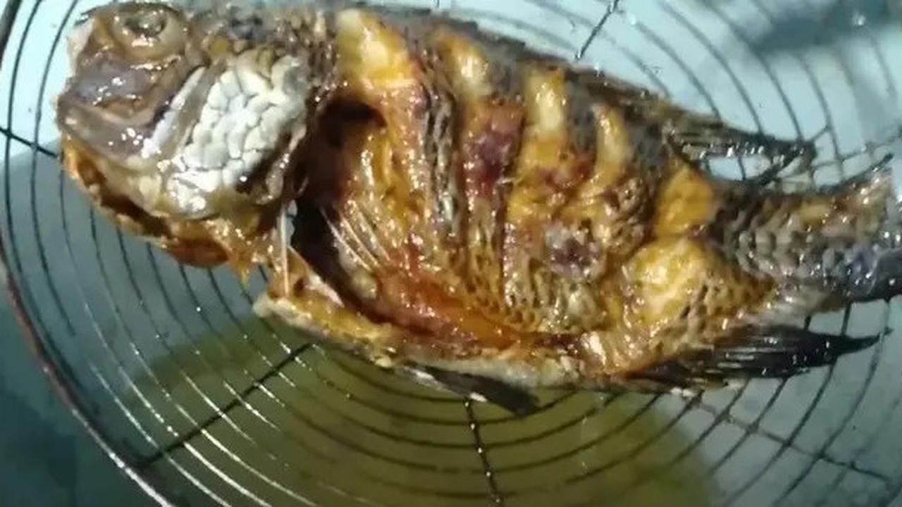 Trik Goreng Ikan yang Tidak Lengket dan Minyak Tetap Bersih