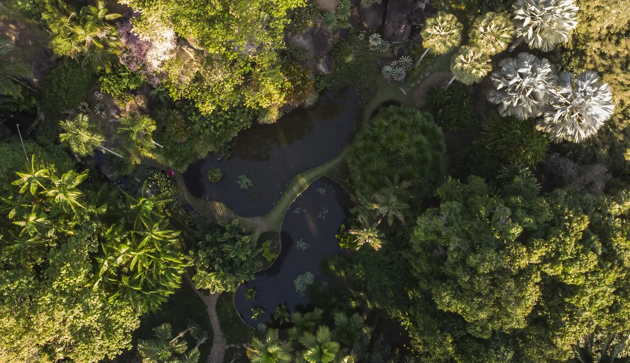 Pemandangan udara dari situs Roberto Burle Marx, yang masuk kedalam daftar situs warisan dunia UNESCO, di Rio de Janeiro, Brasil, pada 27 Juli 2021. Situs tersebut diketahui memiliki sekitar 3.500 spesies tumbuhan, dengan mayoritas tanaman tropis asli Rio. (AP Photo/Mario Lobao)