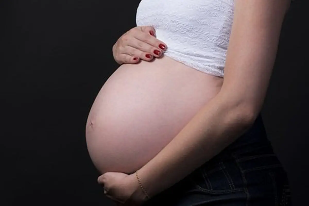 Bahaya polusi udara pada bayi/copyright Pixabay.com