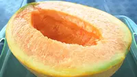 Yubari King, Buah Melon Termahal di Dunia yang Dipanen dengan Standar Super Ketat