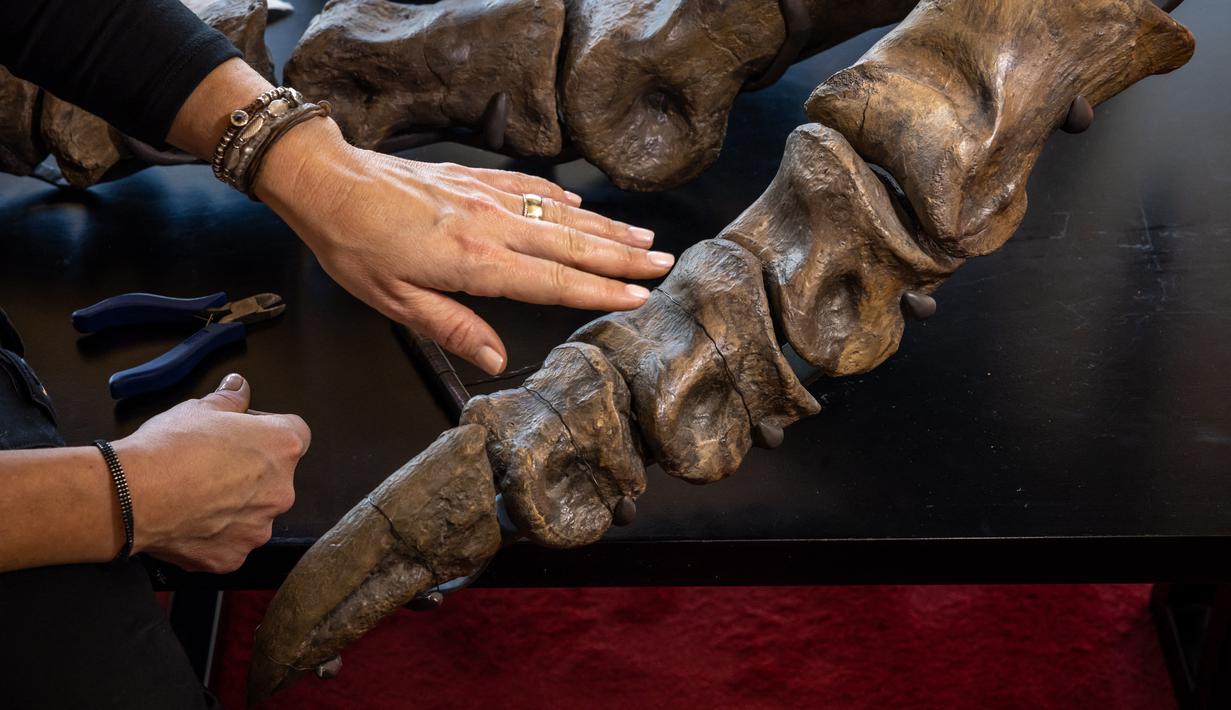 Trinity dikirim ke Zurich dari Arizona, Amerika Serikat, dalam sembilan peti raksasa. (Photo by ARND WIEGMANN / AFP)