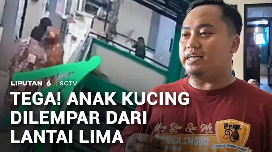Tega, Anak Kucing Dilempar dari Lantai Lima