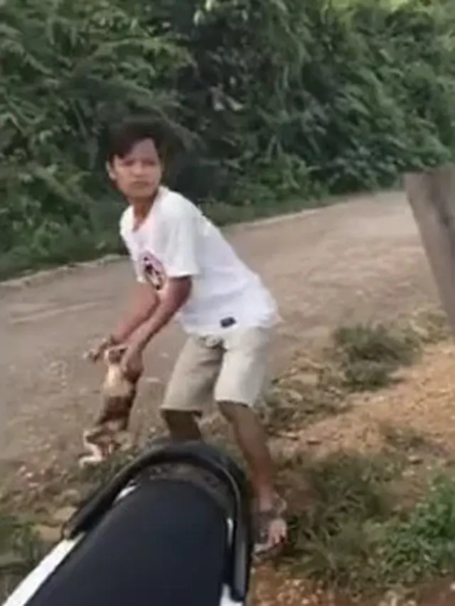 Demi Konten, Viral Pemuda Tega Lempar Kucing dari Puncak Bukit