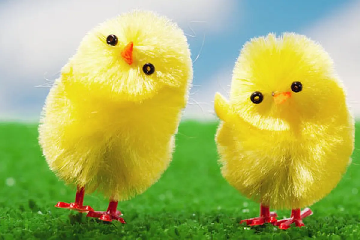 Courtesy ShutterStock.com