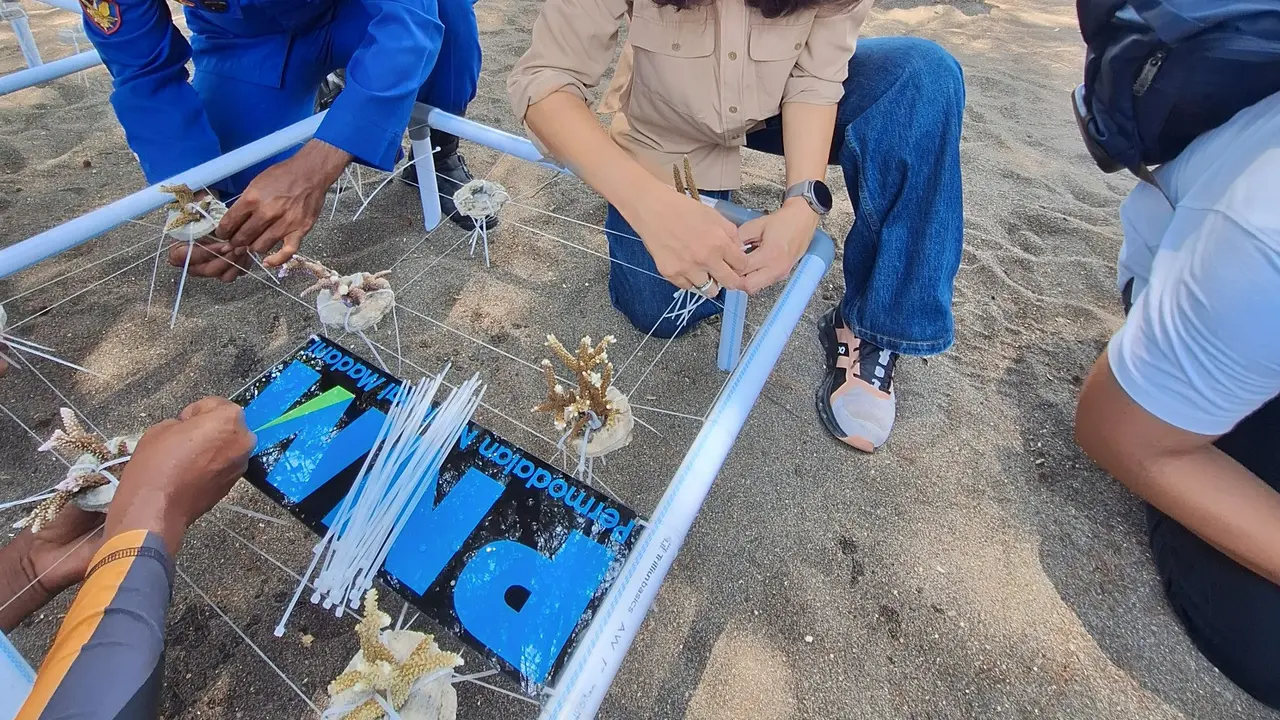 PNM Banyuwangi melakukan aksi konservasi terumbu karang di Pantai Bangsring Under Water, Banyuwangi. (Liputan6.com/ ist)