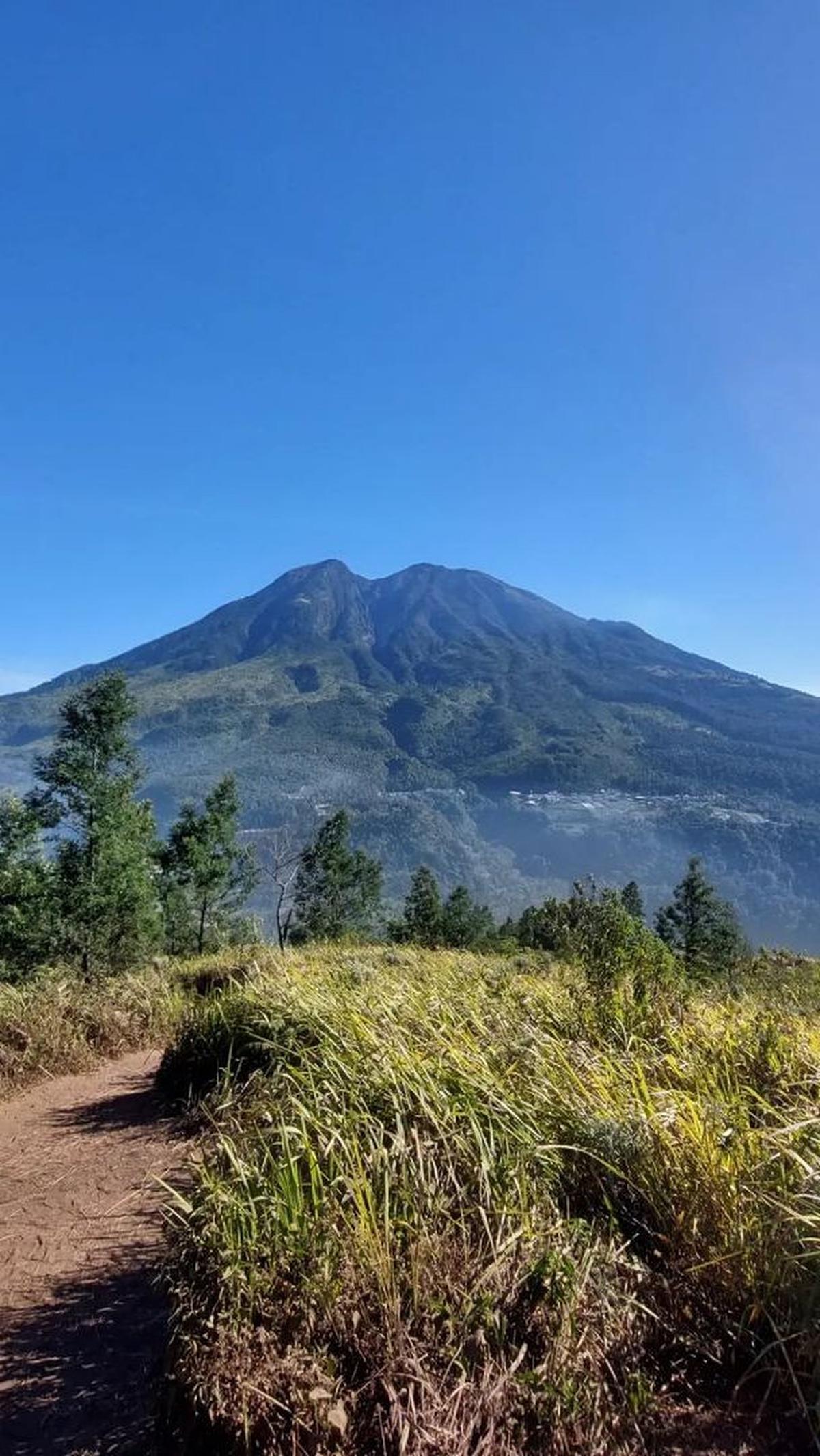 Lebih dari 20 hektare lahan hutan di lereng Gunung Lawu sisi Ngawi ludes terbakar