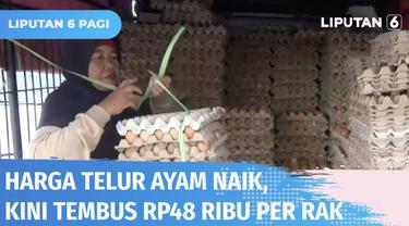 Harga telur ayam ras di Polewali Mandar naik hingga 10 persen menjadi Rp 48 ribu per satu rak. Sebaliknya, pendapatan pedagang turun hingga 50 persen. Menurut pedagang, naiknya harga telur imbas dari tingginya pakan ternak.