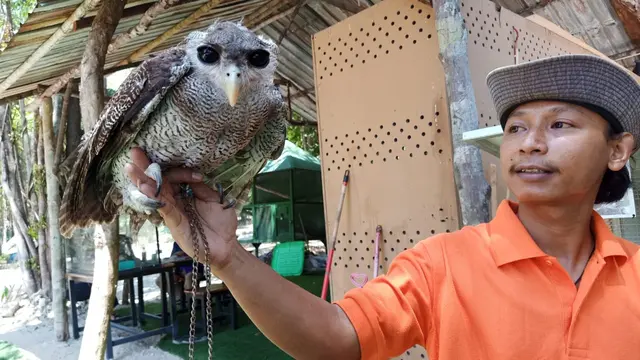 Jelajah Singkat ke Kepri Coral, Tempat Wisata Hits di Pulau Pengalap Batam