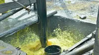 Menteri Energi dan Sumber Daya Mineral (ESDM) Bahlil Lahadalia meninjau sumur migas Ledok, salah satu lapangan migas tua di wilayah kerja (WK) Pertamina EP Cepu. (Foto: Kementerian ESDM)