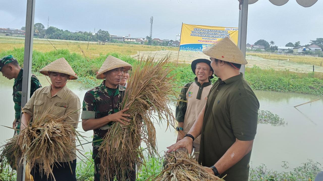 Jalankan Arahan Prabowo, Bulog Serap Gabah Petani dengan Harga Rp6.500 per Kg