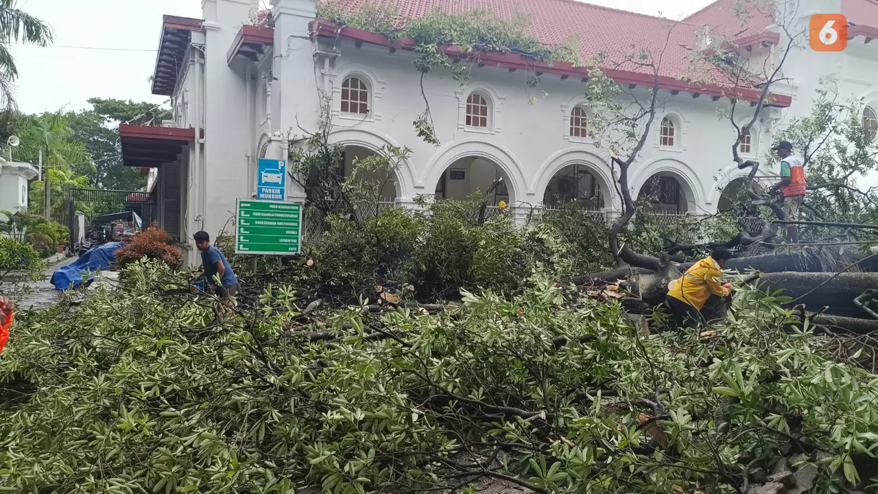 Dua buruh harian tertimpa pohon tumbang di PN Makassar (Liputan6.com/Fauzan)