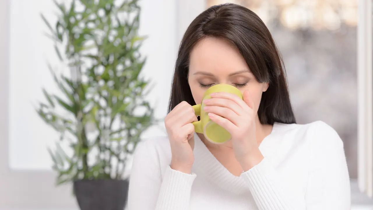 ilustrasi manfaat daun meniran yang bisa dijadikan obat herbal/BlueSkyImage/shutterstock