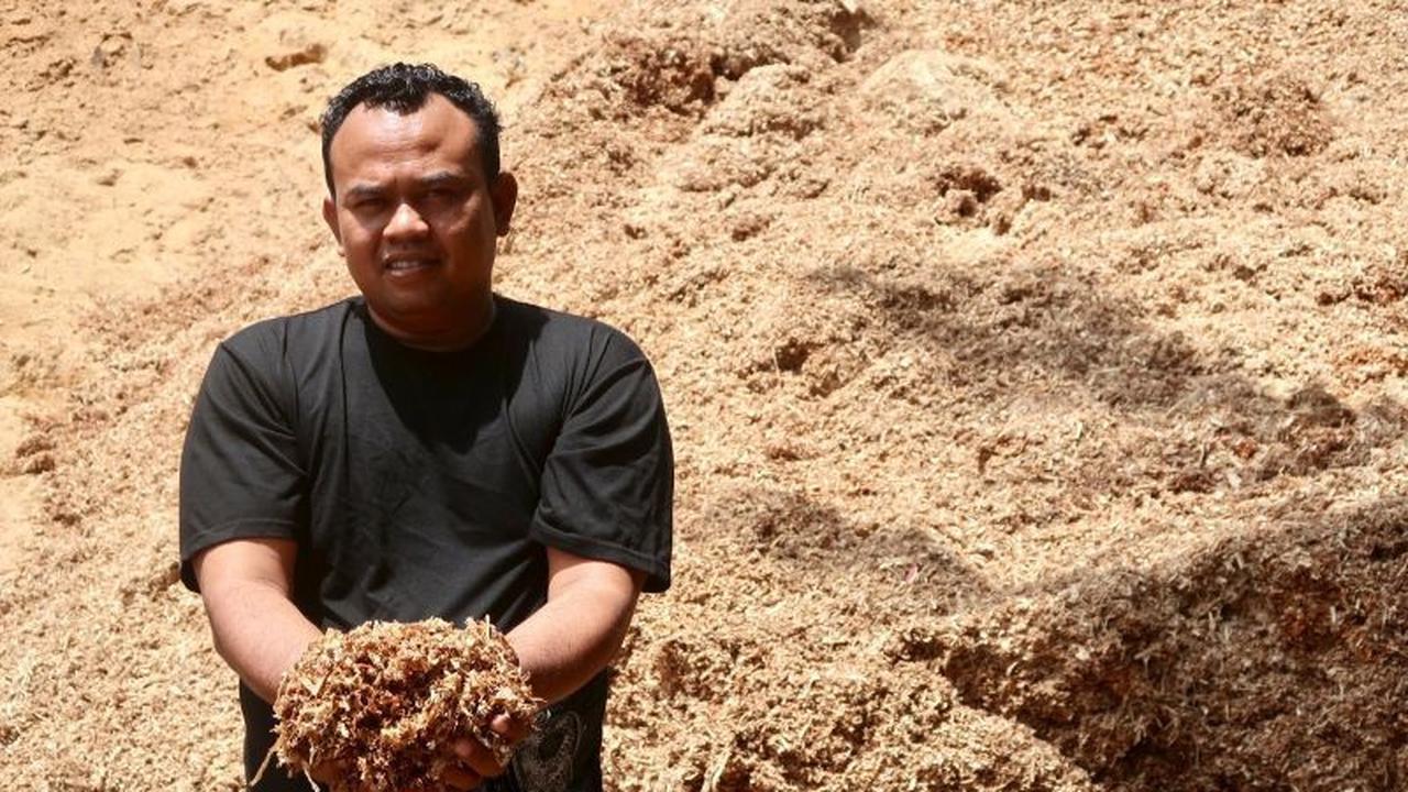 Meraup Cuan dari Limbah Kayu: Kisah Sukses Pengusaha Biomassa Co-firing di NTB