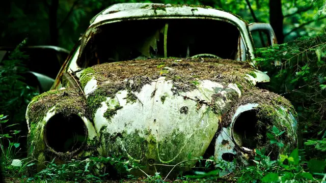 Chatillon Forest Car Graveyard, Belgia