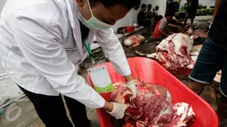 Daging hewan kurban diperiksa untuk memastikan tidak ada cacing hati atau penyakit antrax di Masjid Kauman, Yogyakarta, Senin (12/9).  (Liputan6.com/Boy Harjanto)