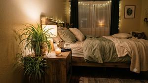9 Tanaman Pembersih Udara yang Cocok Diletakkan di Kamar Tidur Minimalis, Bikin Ruangan Lebih Segar