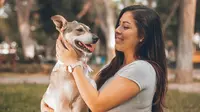 65 Pet Quotes: Sweet and Funny Words About Our Best Friends
