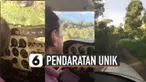Biasanya pesawat terbang mendarat di bandara. Tetapi uniknya pesawat terbang ini mendarat di tengah-tengah hutan.