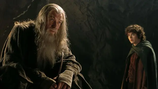 The Lord of the Rings: The Fellowship of the Ring (2001)
