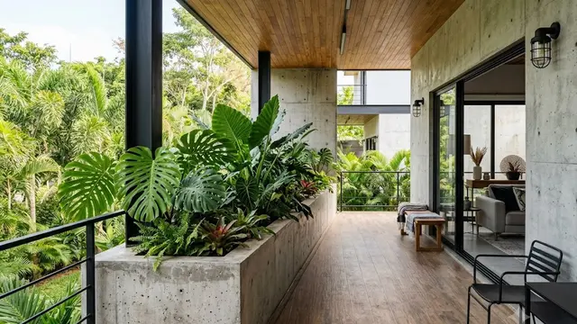Teras dengan Pot Cor Memanjang Bergaya Industrial Modern