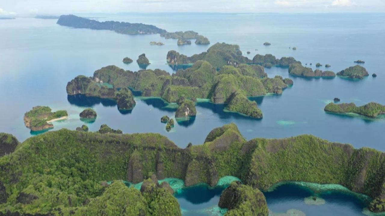 Gokil, Anak-anak Papua Bermain dengan Seekor Ikan Paus di Laut Raja Ampat