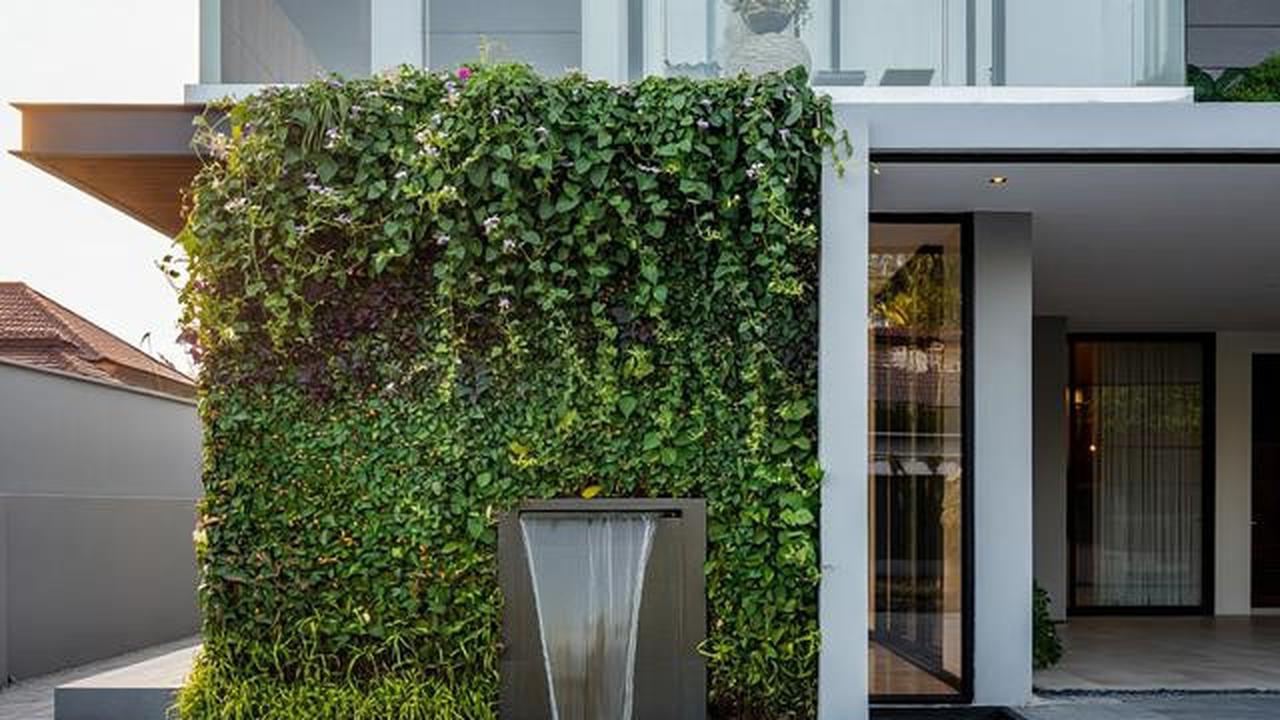 10 Model Tampak Depan Rumah Minimalis Asri dengan Tanaman Rambat, Bikin Hunian Teduh