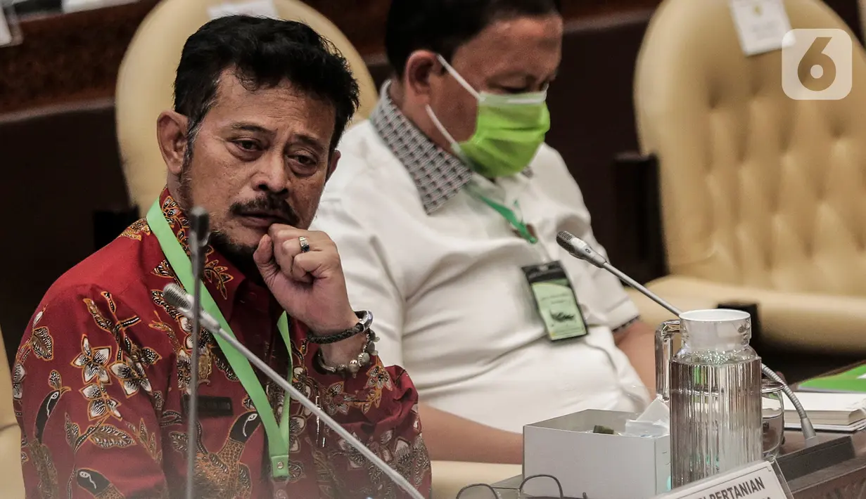 Mentan Syahrul Yasin Limpo mengenakan kalung bertuliskan anti virus corona saat raker dengan Komisi IV DPR di Kompleks Parlemen, Senayan, Jakarta, Selasa (7/7/2020). Rapat membahas program strategis kementerian dalam rangka percepatan pemulihan ekonomi dampak COVID-19. (Liputan6.com/Johan Tallo)