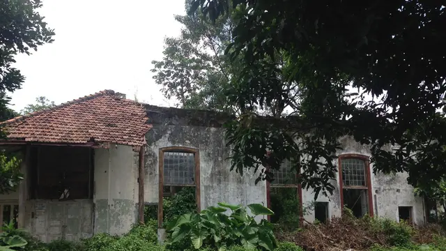 Ady Anugrahadi/Liputan6.com