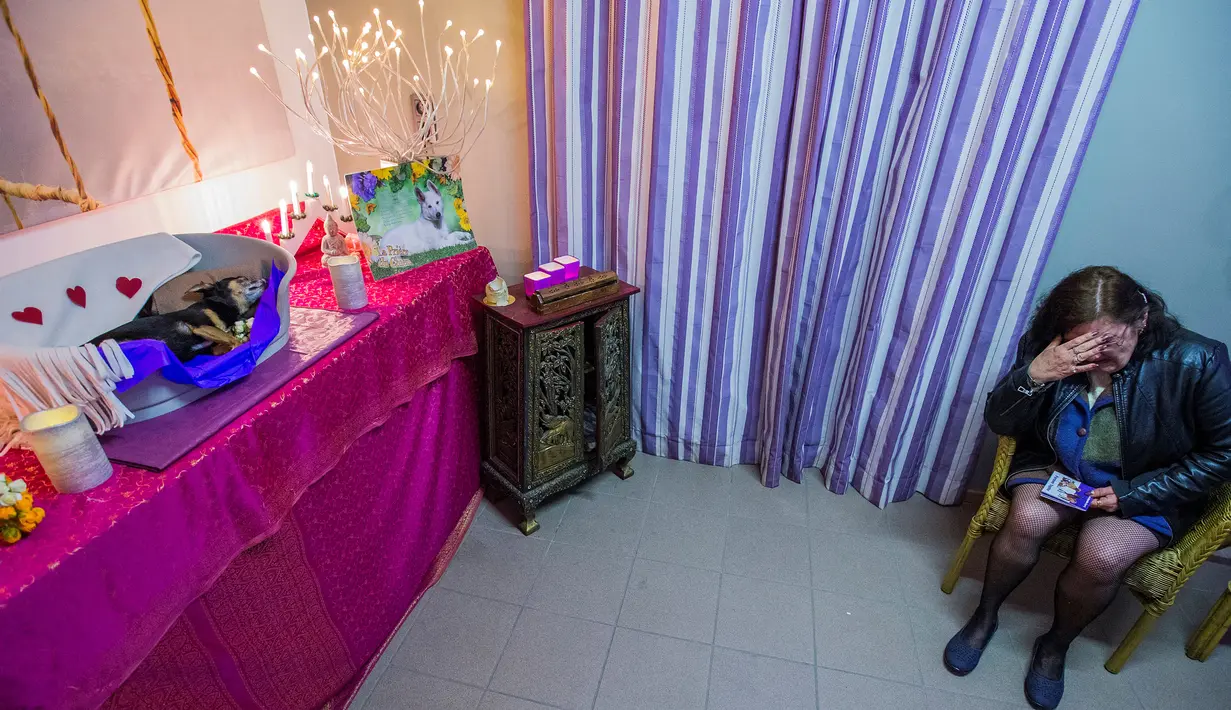 Chantal Detimmerman meratapi kematian anjingnya, Chico di Krematorium Samsara Eternity di Soignies, Belgia, 8 April 2016. Tidak hanya persemayaman, kremasi atau pemakaman, rumah duka Animatrans juga memberikan jasa pembalsaman. (REUTERS/Yves Herman)