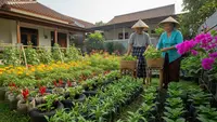 9 Ide Usaha Budidaya Sayur 20 Hari Panen Untuk Pensiunan: Tetap Produktif di Usia Senja