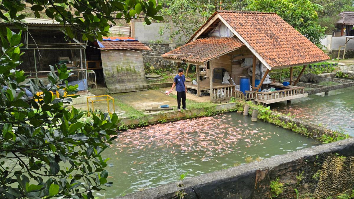 Cerita Desa BRILiaN Jatihurip, Jadi Percontohan Energi Terbarukan Berkat Dukungan BRI