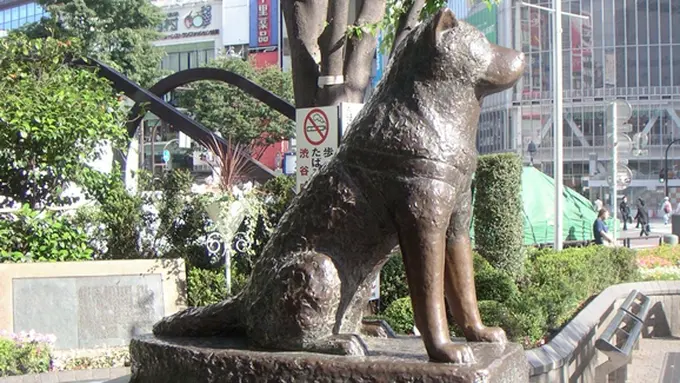 (c) globalinfo4all.wordpress.com