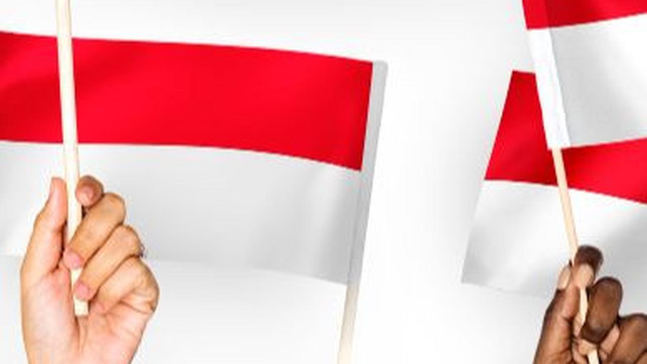 Sejarah Pemilu 2004: Pelaksanaan, Peserta, dan Hasil Pemilihan