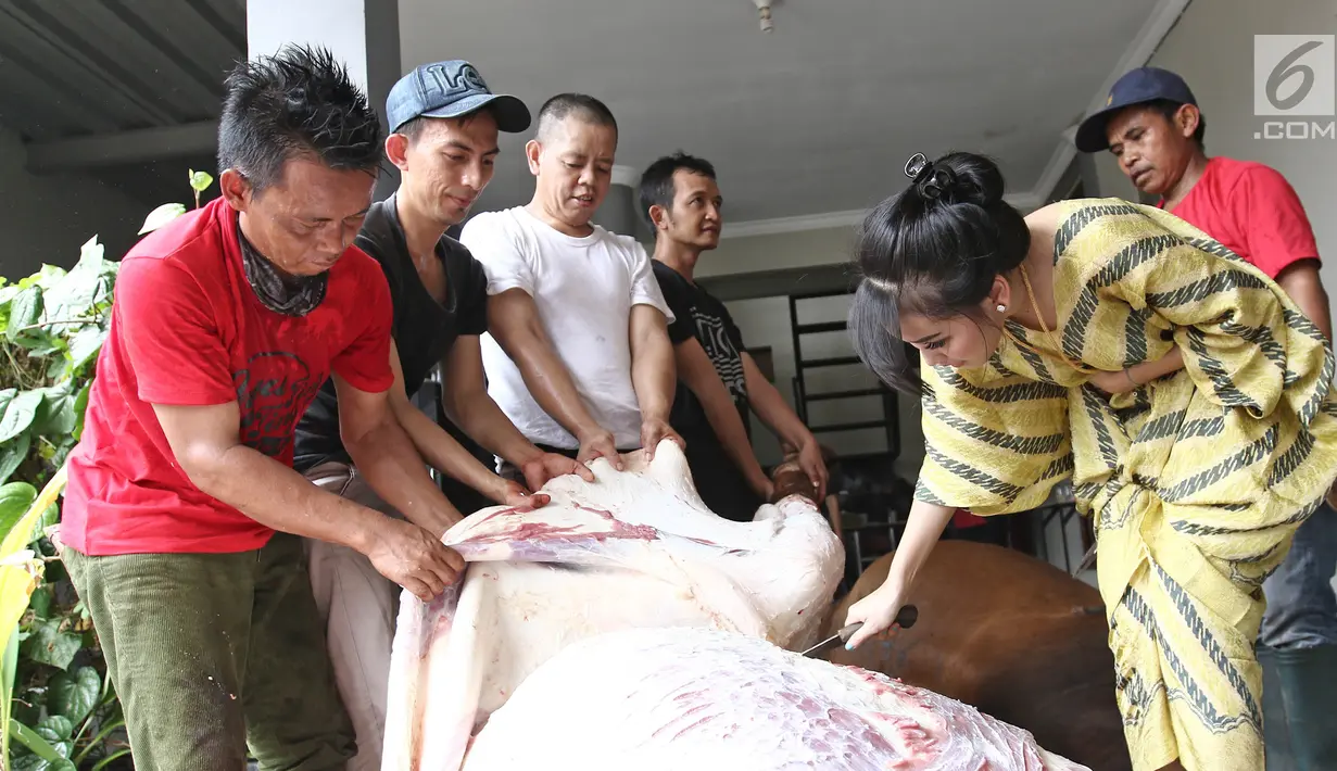 Penyanyi dangdut Ayu Ting Ting memotong daging sapi hewan kurbanya yang sudah disembelih di kediamannya kawasan Depok (1/9). Ayu mengurbankan tiga ekor sapi yang memiliki berat masing-masing seberat 800 kilogram atau 0,8 ton.(Liputan6.com/Herman Zakharia)
