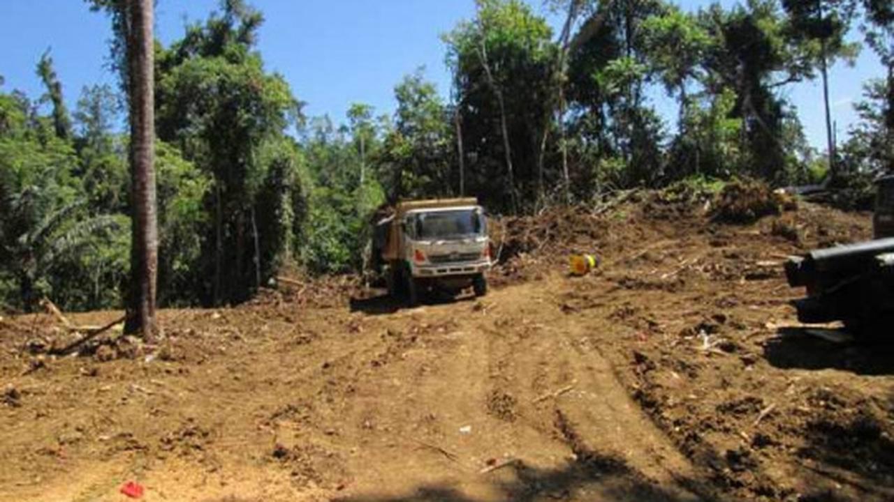 Parahnya kerusakan hutan lindung di Sulut akibat tambang ilegal