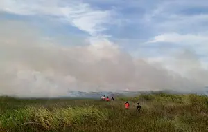 Kasus ISPA Capai 400 Ribu per Minggu, Kebakaran Hutan Ikut Dorong Kenaikan