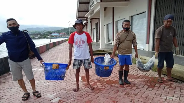Ikan
