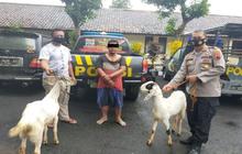 Buron Setahun, Pencuri Kambing Gowa Berinisial MR Akhirnya Dibekuk Polisi