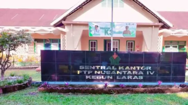 Kebun Laras PTPN IV Regional II