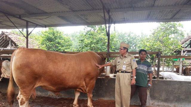 Waspada Antraks, Tegal Setop Terima Daging Sapi dari Yogyakarta