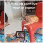 Momen Kucing Didandani Anak Kecil Ini Bikin Gemas, Pasrah Banget (sumber: TikTok/@ind_ri0)