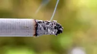 Meski Cuma Hisap 5 Batang Rokok, Penyakit Jantung Mengintai