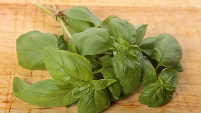 Daun Kemangi