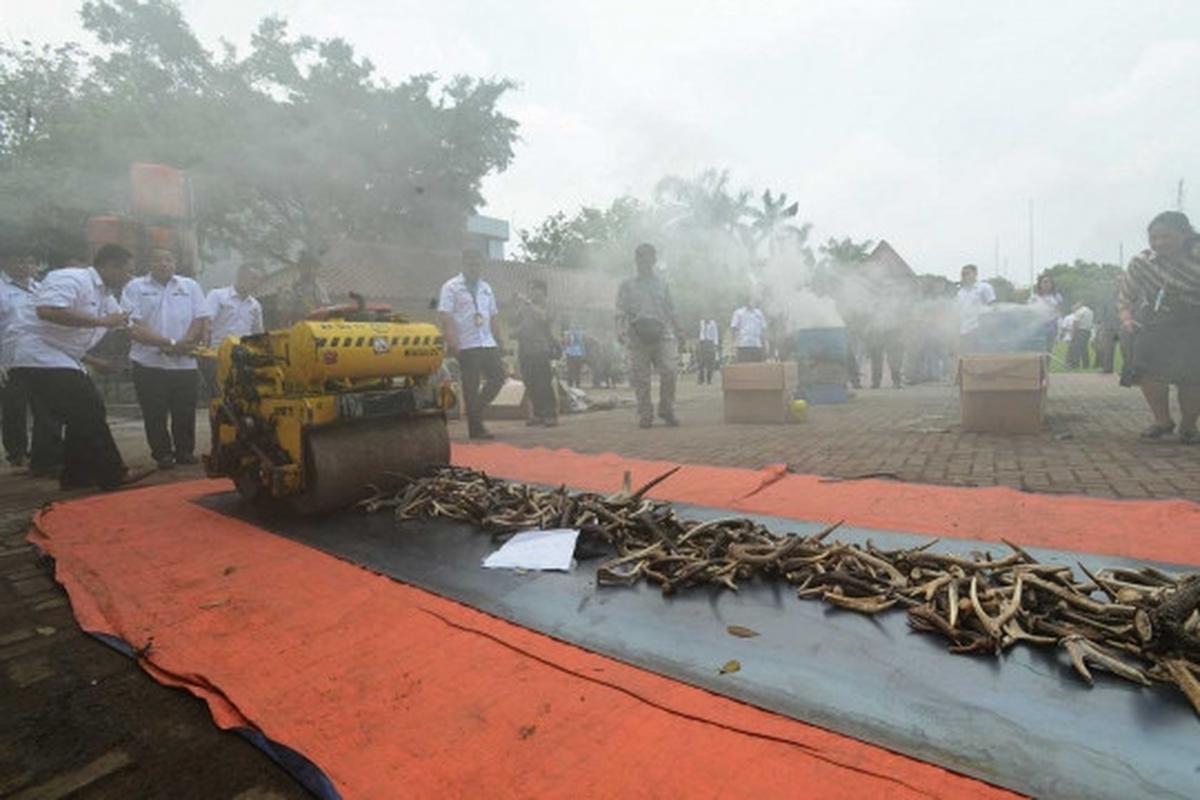 Pemusnahan barang bukti organ satwa dilindungi di Mabes Polri
