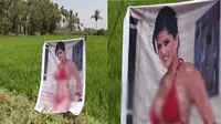 Kelewat Kreatif, Agar Tanamannya Tak Dicuri Petani Pasang Gambar Wanita Seksi