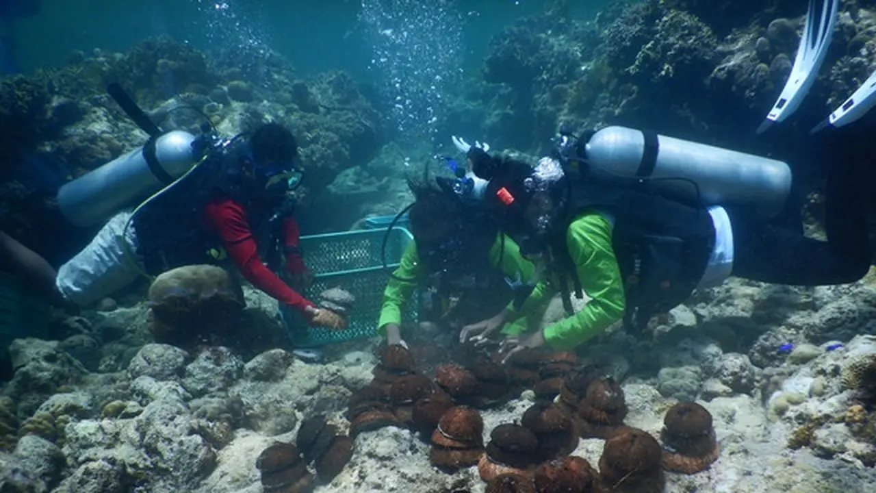 Diving sebagai salah satu aksi yang dilakukan dalam program Sekolah Pantai Indonesia atau SPI di SMKS Kristen Solagratia Tongkaina Manado.